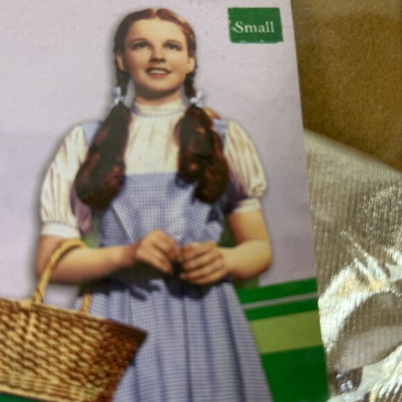 Wizard Of Oz Tin Man Pet Costume Small Hat & Shirt Silver Wicked Rubies - Picture 7 of 8